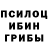 Псилоцибиновые грибы мухоморы chewy640