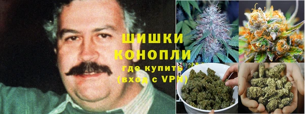 соль ск Мегион