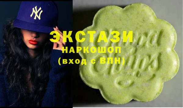 индика Магас